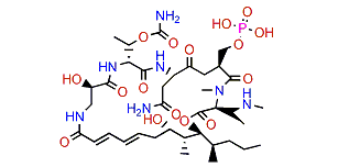 Celebeside A